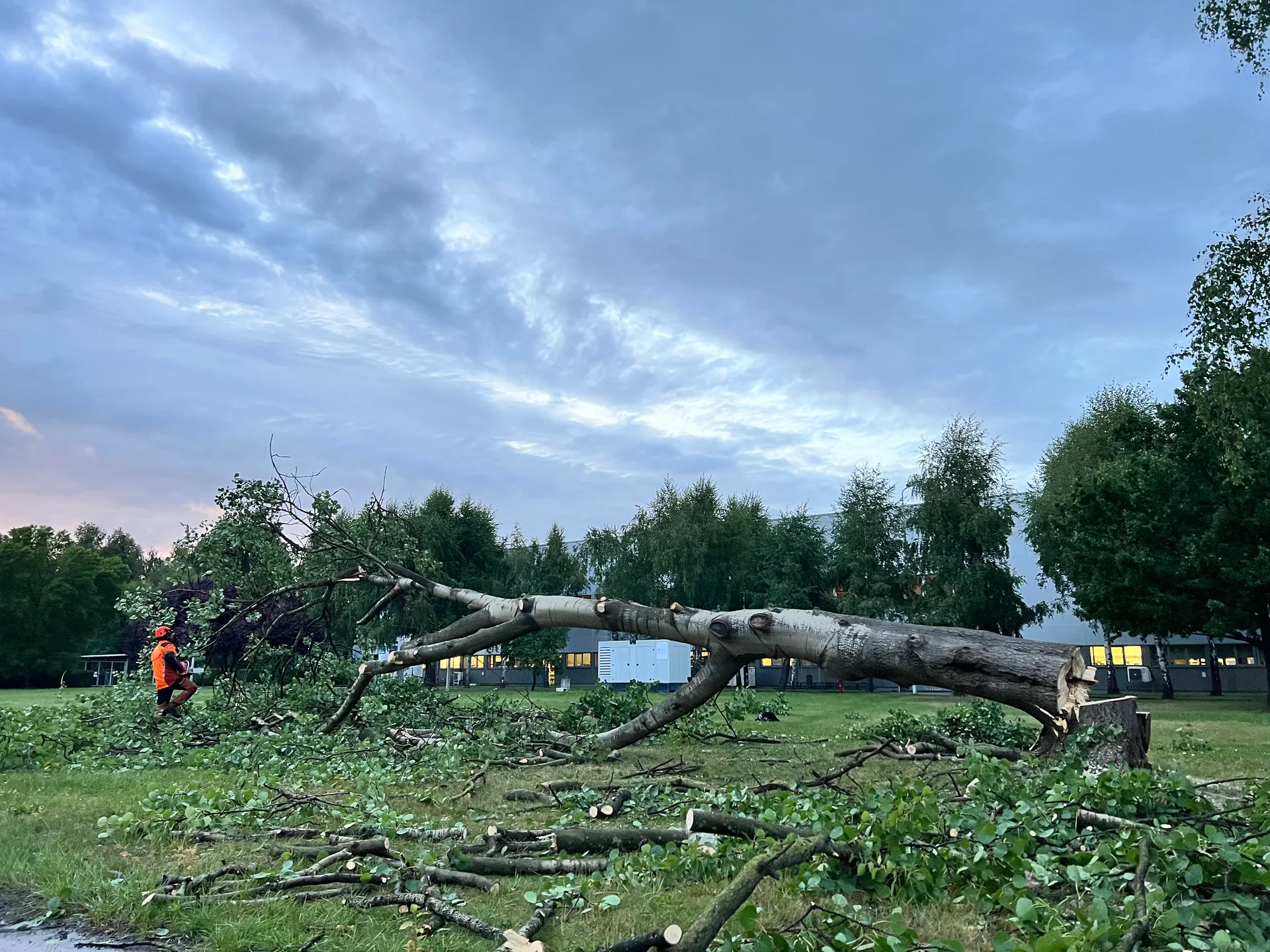 Uprzatniecie terenu po zdarzeniu losowym