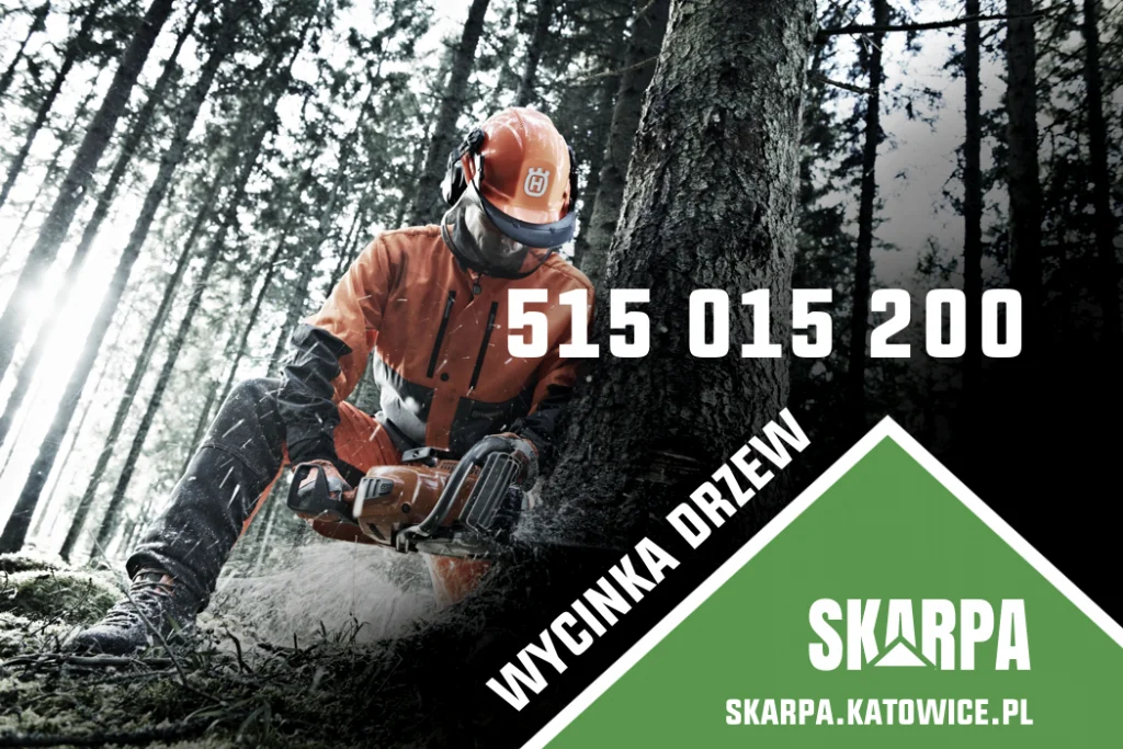 drwal wycinający drzewa w lesie